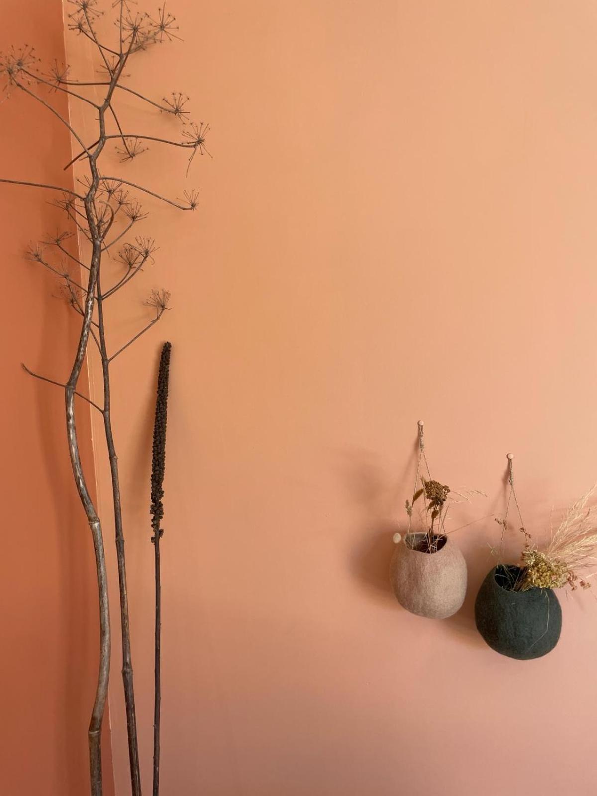 Les Petites Maisons * Sotta
